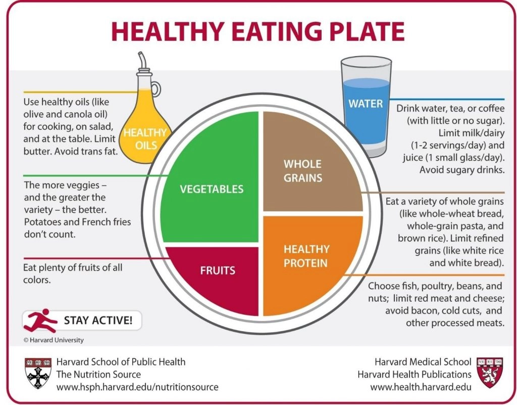 Healthy eating plate infographic